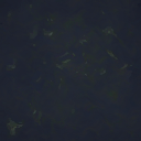 DungeonSiege-b_t_dgn03_dgn_h2o-04x04-a.png