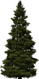 CMR3_Xbox_TEMP_tre_fr4.png