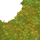 foret_moussarbr4 foret_moussarbr4