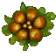 Rayman3_Proto_5-17-2002_wood_littleveg.png