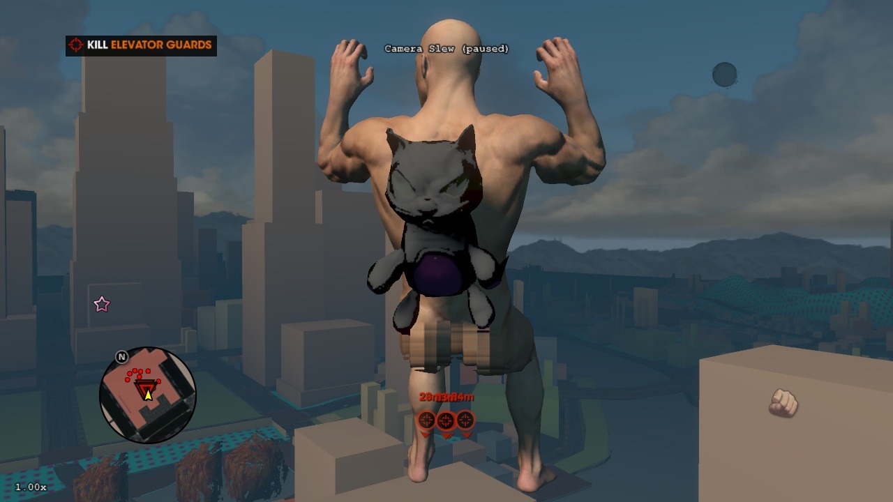 SR3_DevImage2.jpg