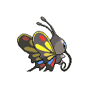 PokeBW_Development_267_back1_m_r1844.png PokeBW_Development_267_back1_m_r1844.png
