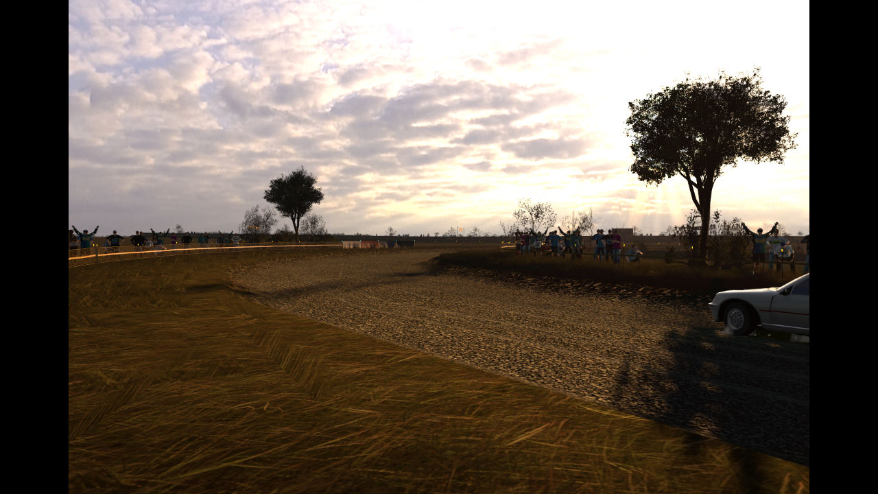 Runoff grass sections. Runoff grass sections.