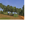 CMR04_xbox_demo_icons_aus_s3.png