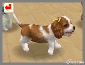 NintendogsFebruary2005Screenshot24.jpg NintendogsFebruary2005Screenshot24.jpg