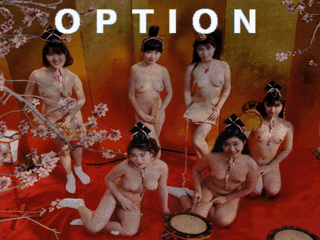 Option screen placeholder (File:OPTION.TIM)