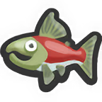 Salmon Salmon