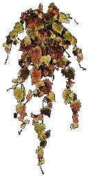CSS-cs_havana-plantb.png CSS-cs_havana-plantb.png
