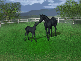 1806E20.320x240.ci8.png