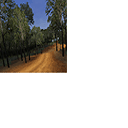 CMR04_ps2_demo_icons_aus_s5.png