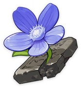 GenshinImpact_Item_Tiny_Miracle_Flower_CBT1.png