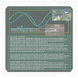 Two screenshots from both the E3 and TGS 2005 builds can be seen. One shows Sonic running with Egg Gunners around him, along with Sonic standing in Kingdom Valley during the sunset.