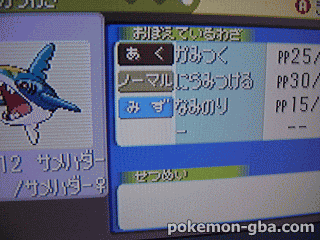 PokemonRS-Festa2002-005.png PokemonRS-Festa2002-005.png