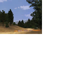 CMR04_xbox_demo_icons_usa_s1.png