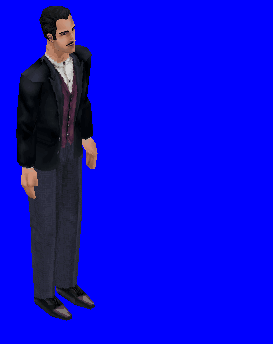 The_Sims_-_a2o-car-getinl.gif
