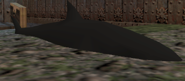 Shark Shark