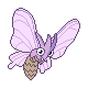 312PokeDPFrontF49-0.png 312PokeDPFrontF49-0.png