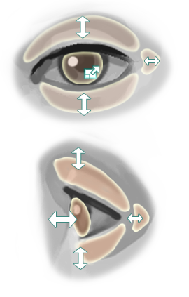 mold eyes