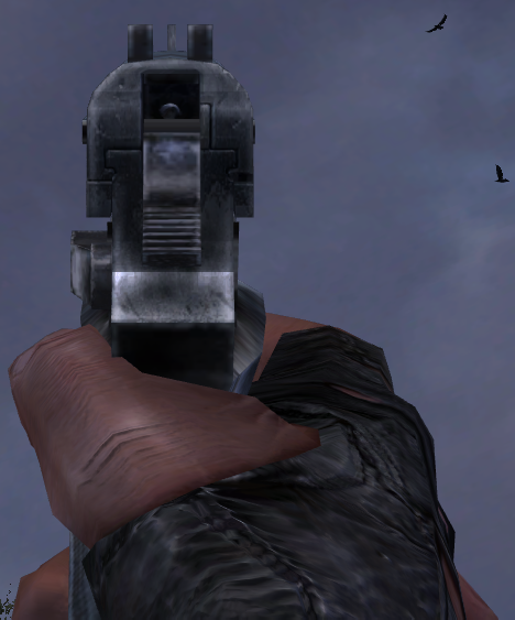 Iron sights. Iron sights.