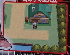 PKMNDP_Apr06_Town3.png