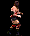 wwfwrestarc-A2KM3A.gif