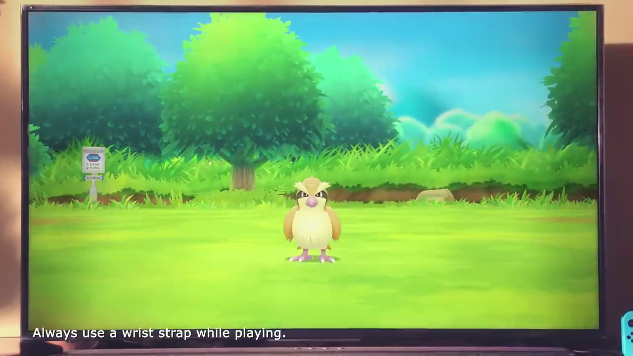 LGETrailerPidgeyBattleBackground.png