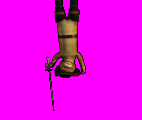 Shrek2Activity_Pib_Miss.gif