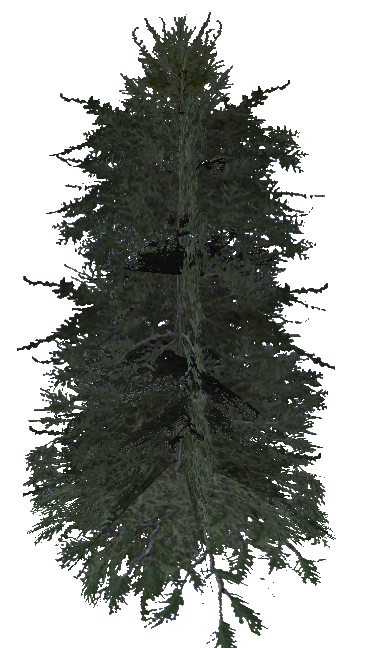 tree_pine.mdl tree_pine.mdl