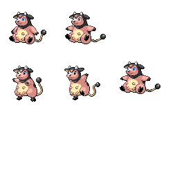 pmgs_241_frnt_m_r17262.png