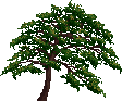 swjan95_0689.png
