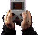 swjan95_2084.png