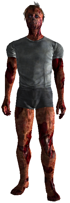 FO3Meat.png FO3Meat.png