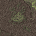 SotC_PREV-slow_b4_mip.png