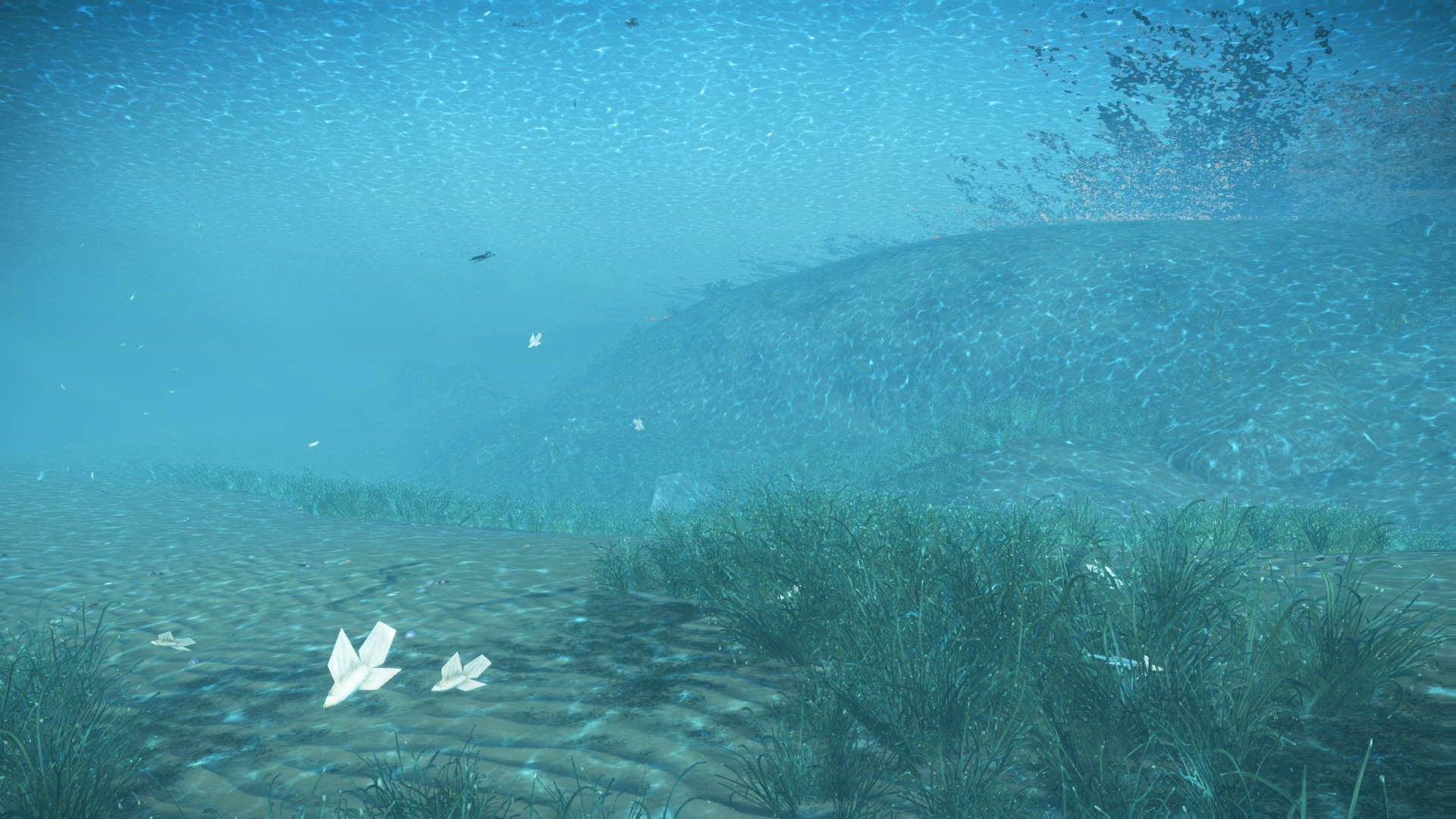 Underwater visuals of the beta. Underwater visuals of the beta.