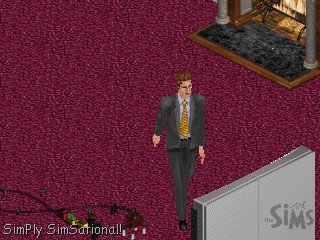 Ts1_simwebcam034.jpg Ts1_simwebcam034.jpg
