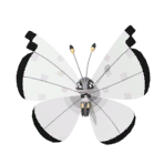 NPS_p034-2O.png