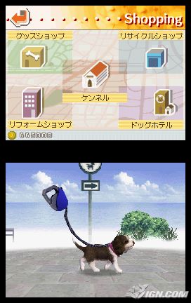 NintendogsMarch9-2005Screenshot2.jpg NintendogsMarch9-2005Screenshot2.jpg