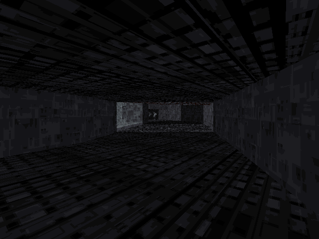 The long hallway. The long hallway.
