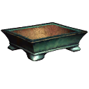 pot bonsai 1 pot bonsai 1