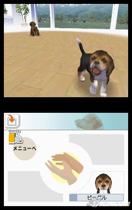 NintendogsMarch9-2005Screenshot7.jpg NintendogsMarch9-2005Screenshot7.jpg