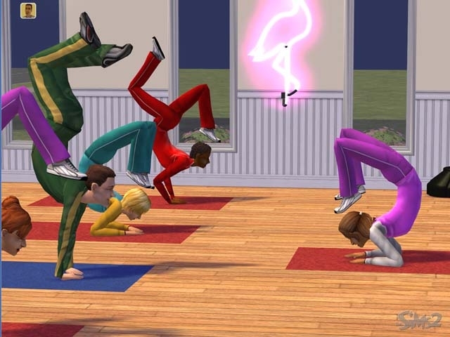 TS2_20040508-simsse2.jpg