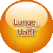 ASCSLunge_HalfT.png