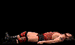 wwfwrestarc-A3GU4A.gif