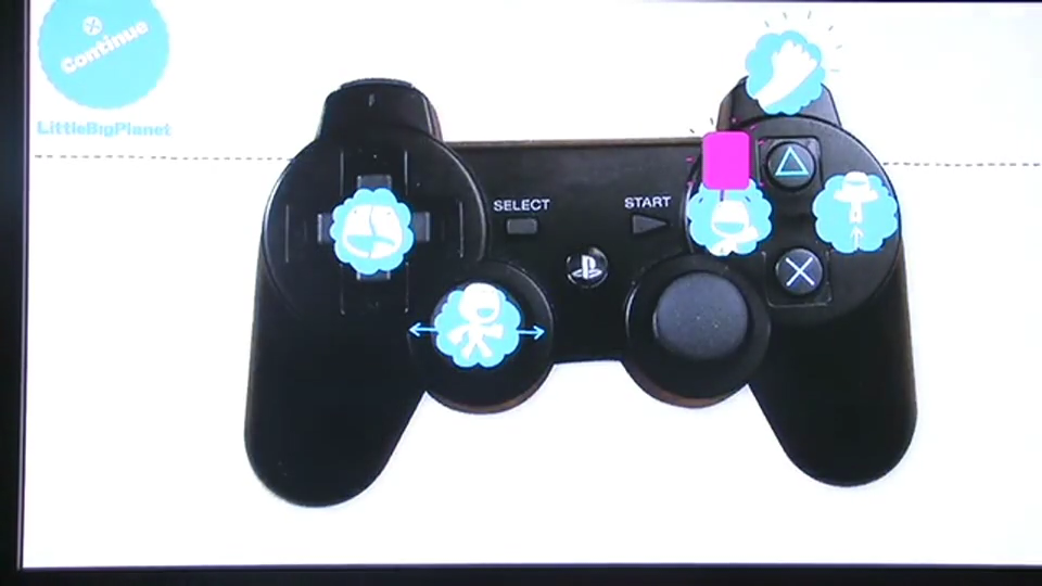 Lbp1_preces_controls2.png