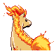 PokeDP_Development_BattleSprite_Mar26_Back_M77.png PokeDP_Development_BattleSprite_Mar26_Back_M77.png