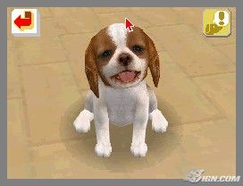 NintendogsFebruary2005Screenshot16.jpg NintendogsFebruary2005Screenshot16.jpg