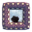 Sponge Sponge