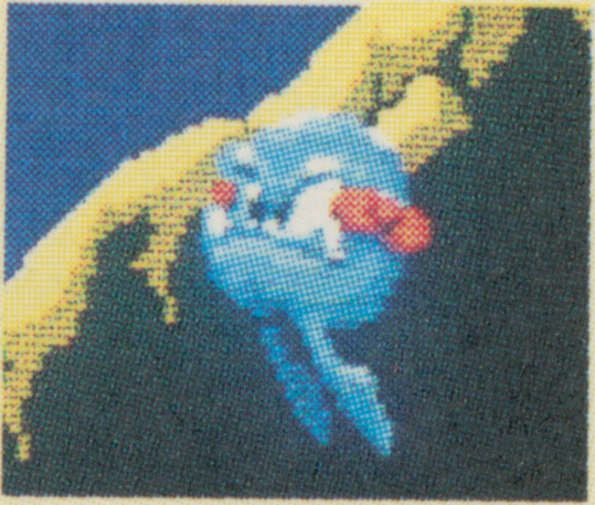  Another additional image.