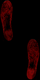 CSDS-RitualStandard_blood_foot01.png_‎