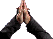 swjan95_2011.png